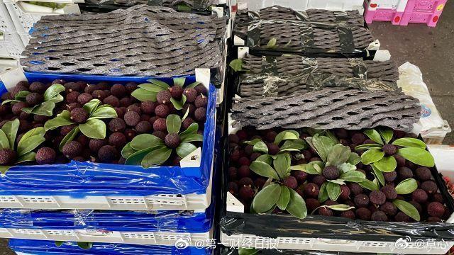 违规泡药曝光后杨梅价格跳水【杨梅批发价最低跌到5元以下 】杨梅采购热度大跌28%