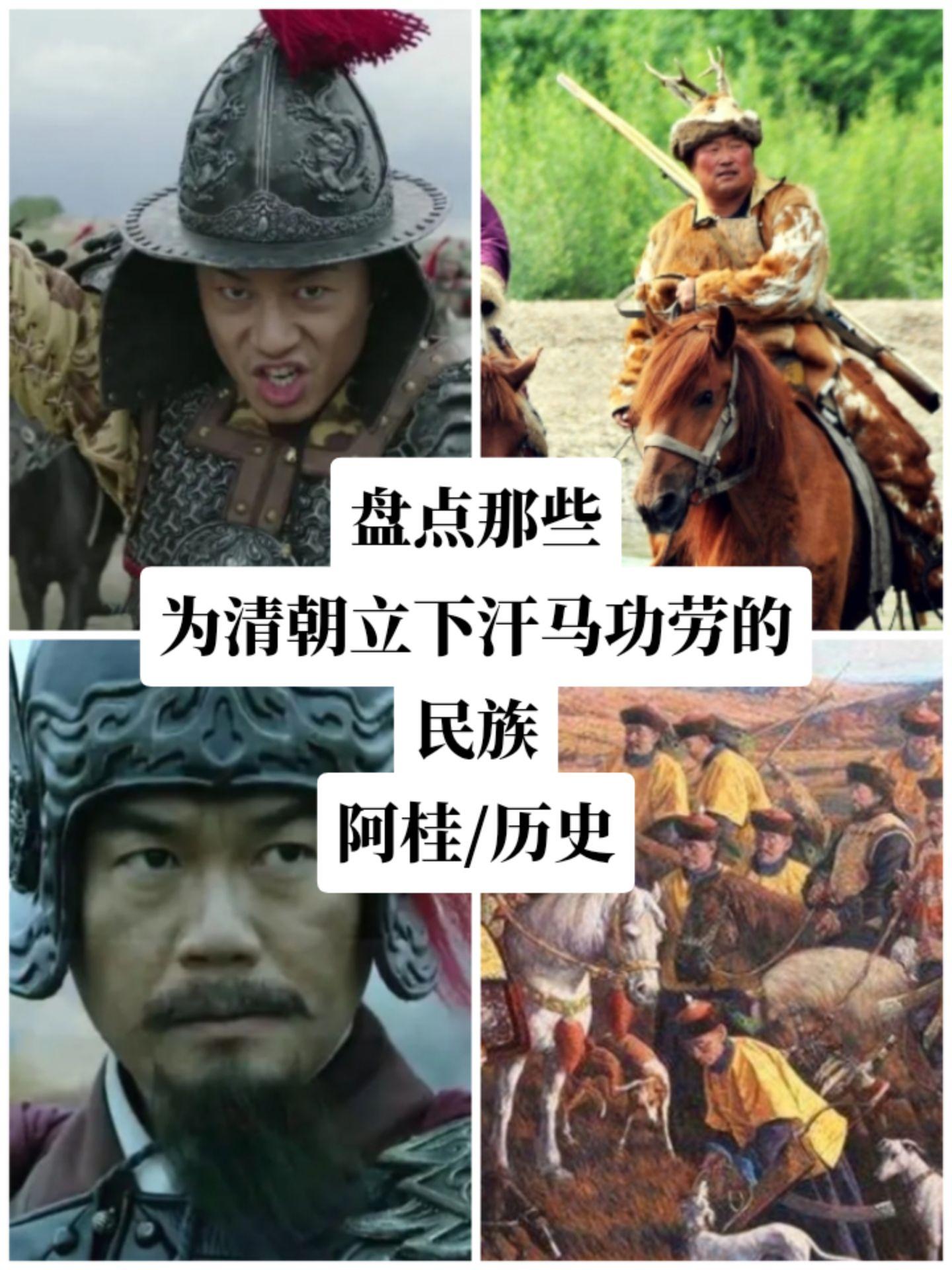 清朝历史历史书