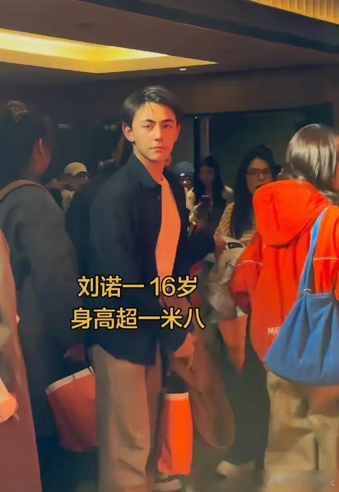 刘烨儿子诺一身高已经180了超级帅气诺一最新路透真的狠狠被惊艳到，谁能想到当年那