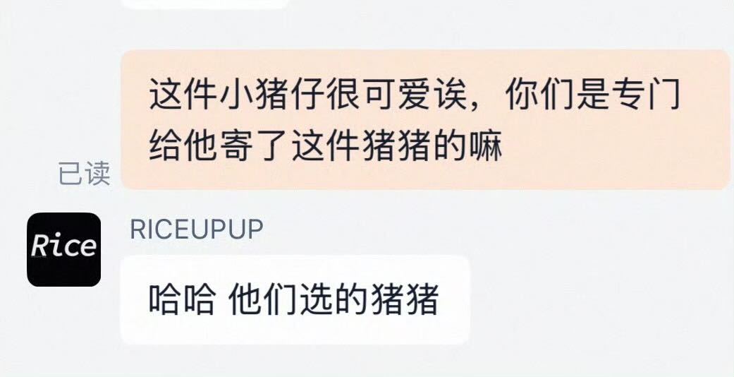 可爱的🐷 