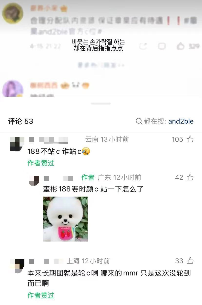 如何看待金奎彬粉丝支持 AND2BLE 轮 C 那章昊算什么？ 