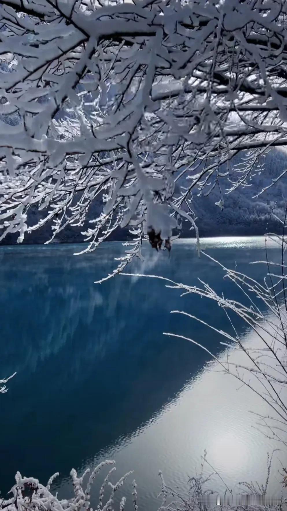 冬日仙境，冰雪覆盖下的静谧湖泊。上午的九寨沟风景美。湖仙境 ，水天一色 山水间的