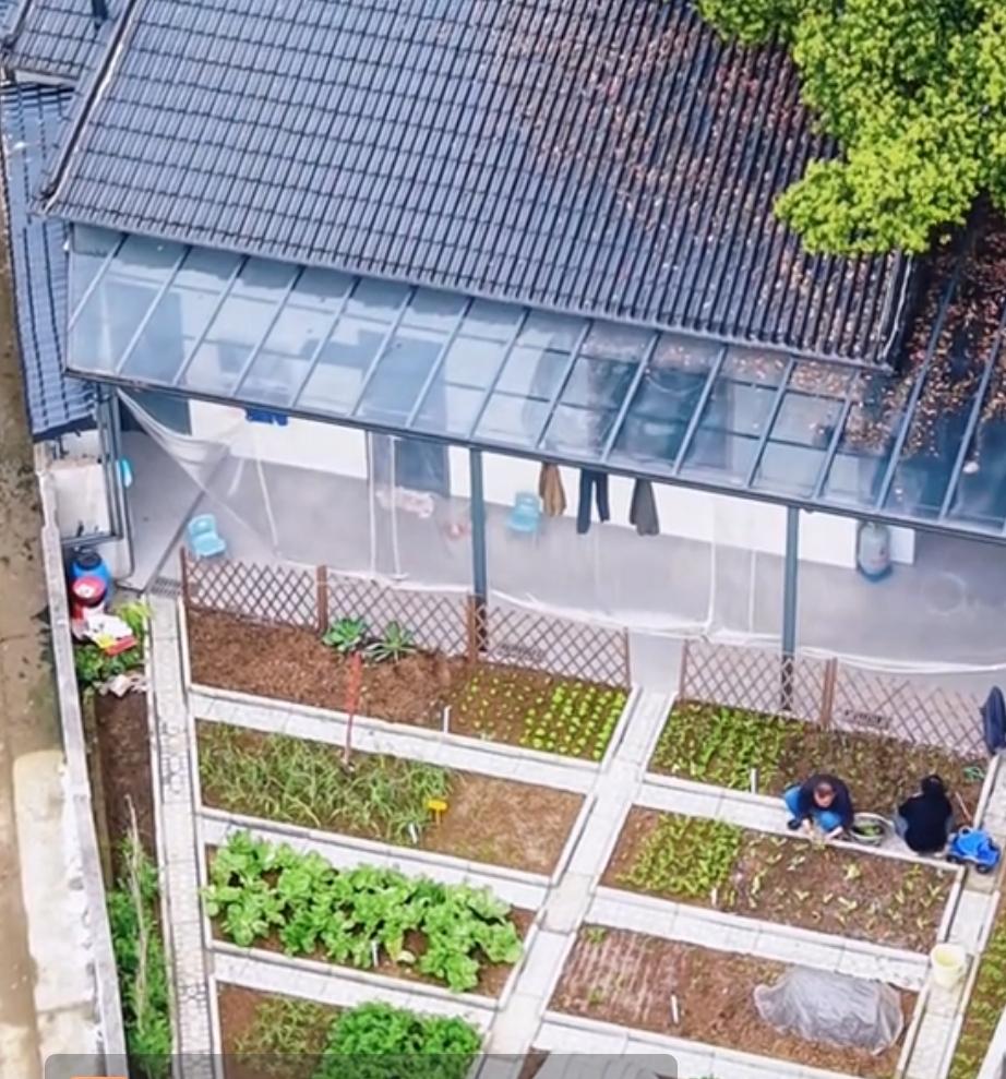 有个院子，每天起来的第一件事就是在菜园转一转