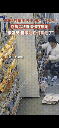 贵州三只猴子进店偷面包，店员淡定围观——猴子进店径直走向面包货架，扒拉着拿了好几