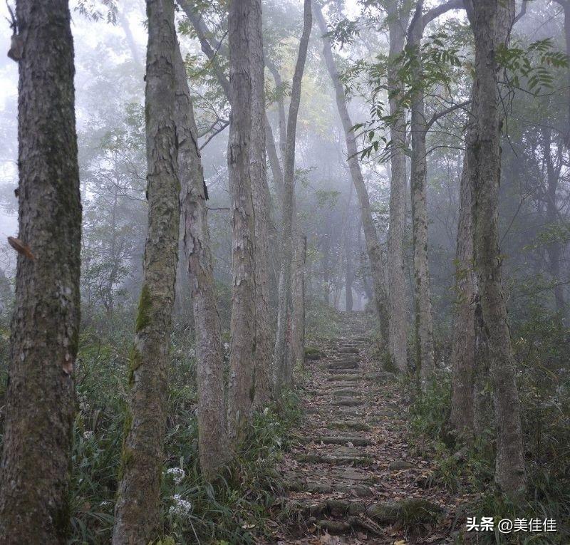 人真正大彻大悟，大多不是顺风顺水时想明白的，全是在遇到坎、摔过跤、走投无路的时候