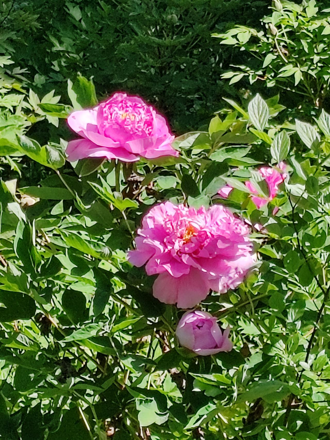 活了60岁了，搞个对象还要问别人。这是个大人还是小孩。这话说出来，都让人觉得有点