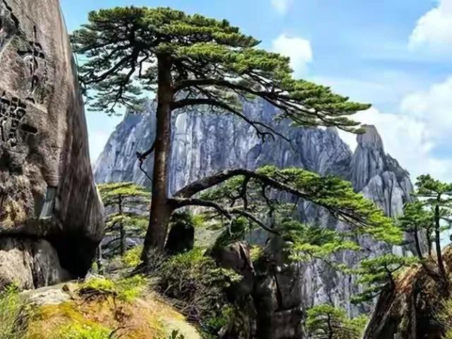 七律 《感恩父亲节》
（2026.6.21）

少年遮雨挡风霜，
脊背为梯引路长