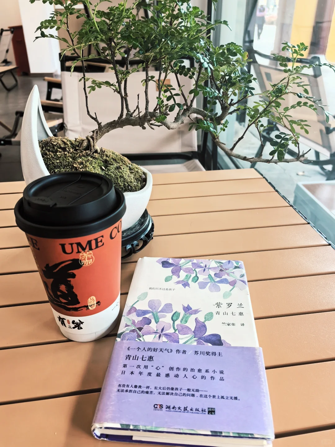 《紫罗兰》｜成长中的彷徨与温暖 📚🌸