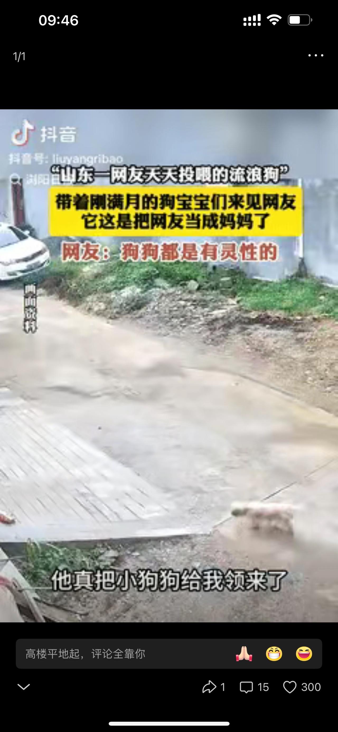 安徽张师傅这事儿想起来就后背发凉！停在交警检查站附近的大货车，刹车淋水线和刹车灯