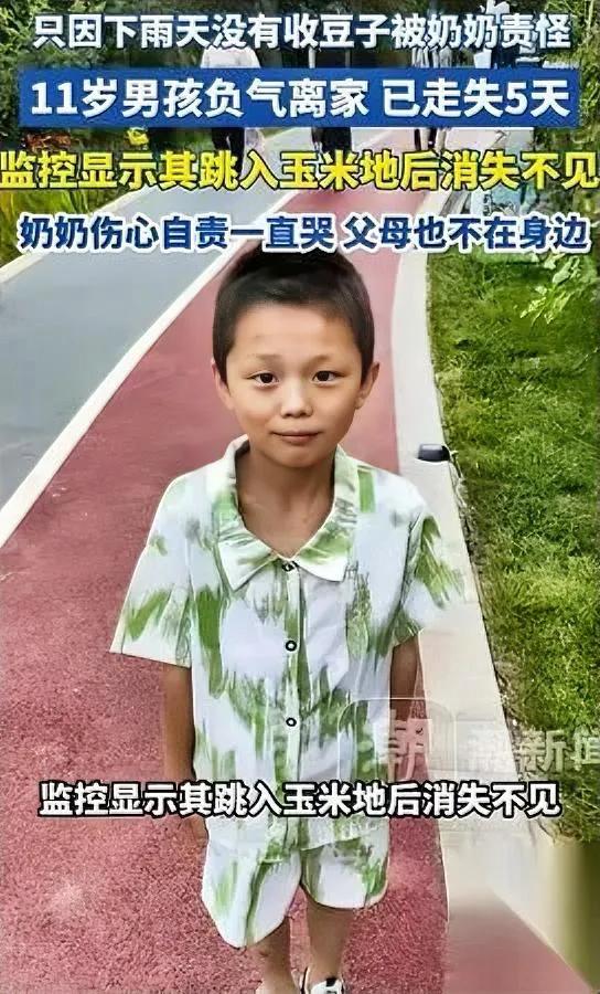 云南这事太揪心

孩子已经丢了5天

就因为忘了帮奶奶收半筐豆子。11岁男孩是昭