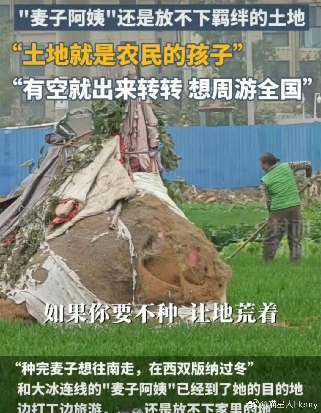 往南走的麦子阿姨说放不下土地  麦子阿姨说土地是农民的孩子 麦子阿姨是一位64岁