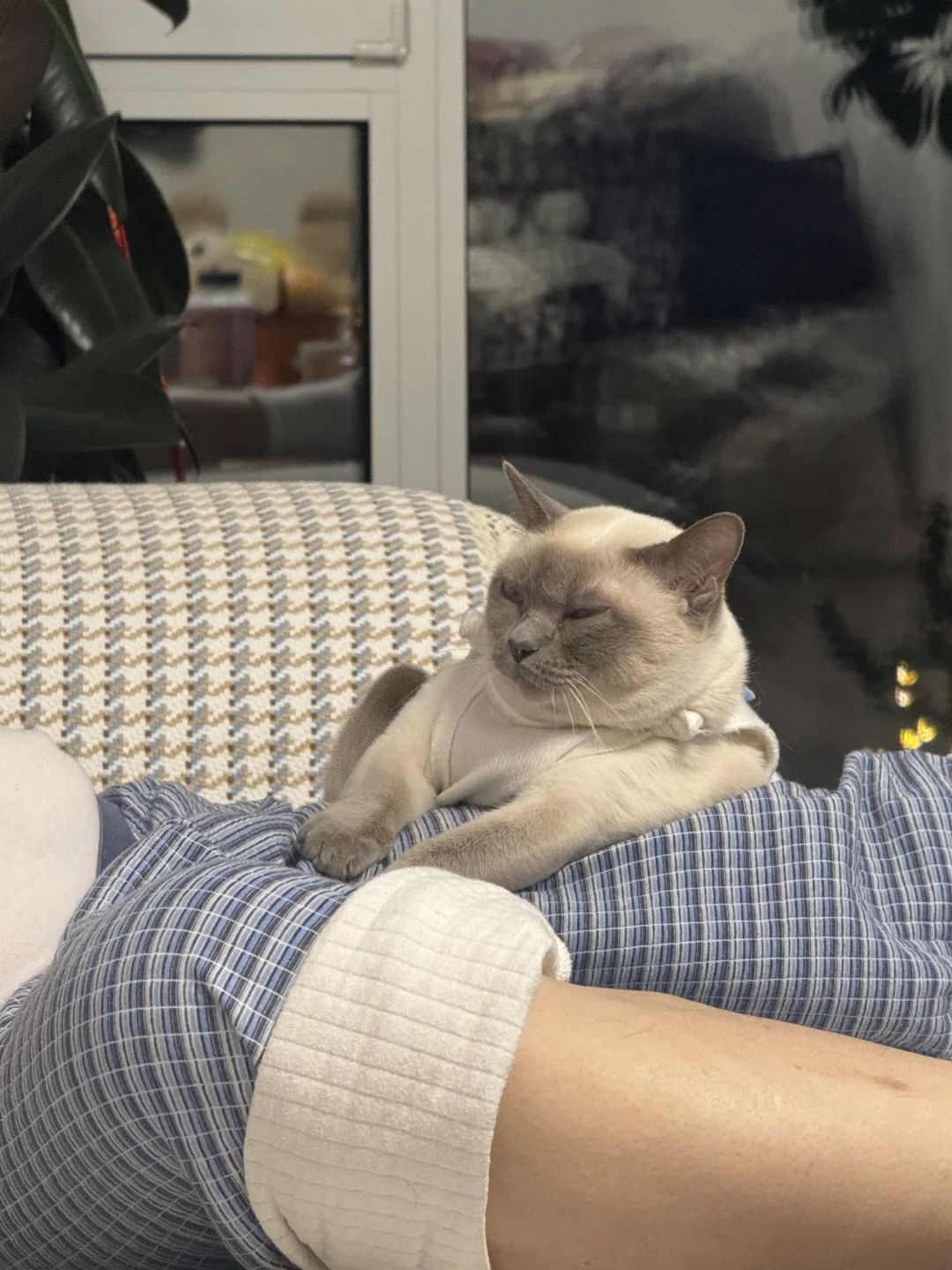 就是喜欢靠在人身上
