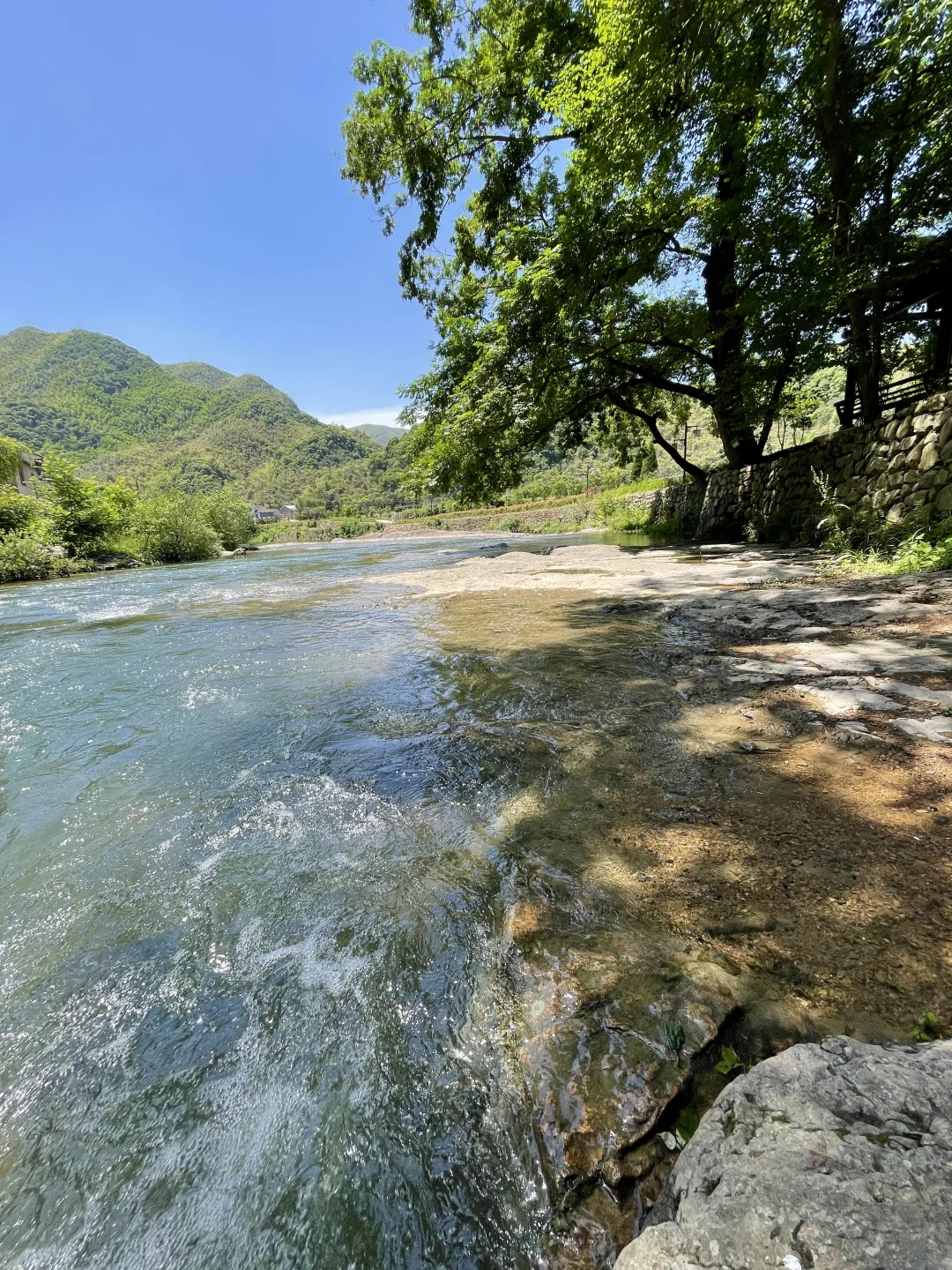 四个神仙露营地‼️colorwalk的人先拥有春天