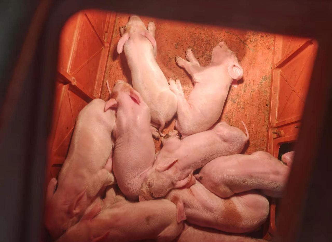 说的千好万好，不如自己试一试