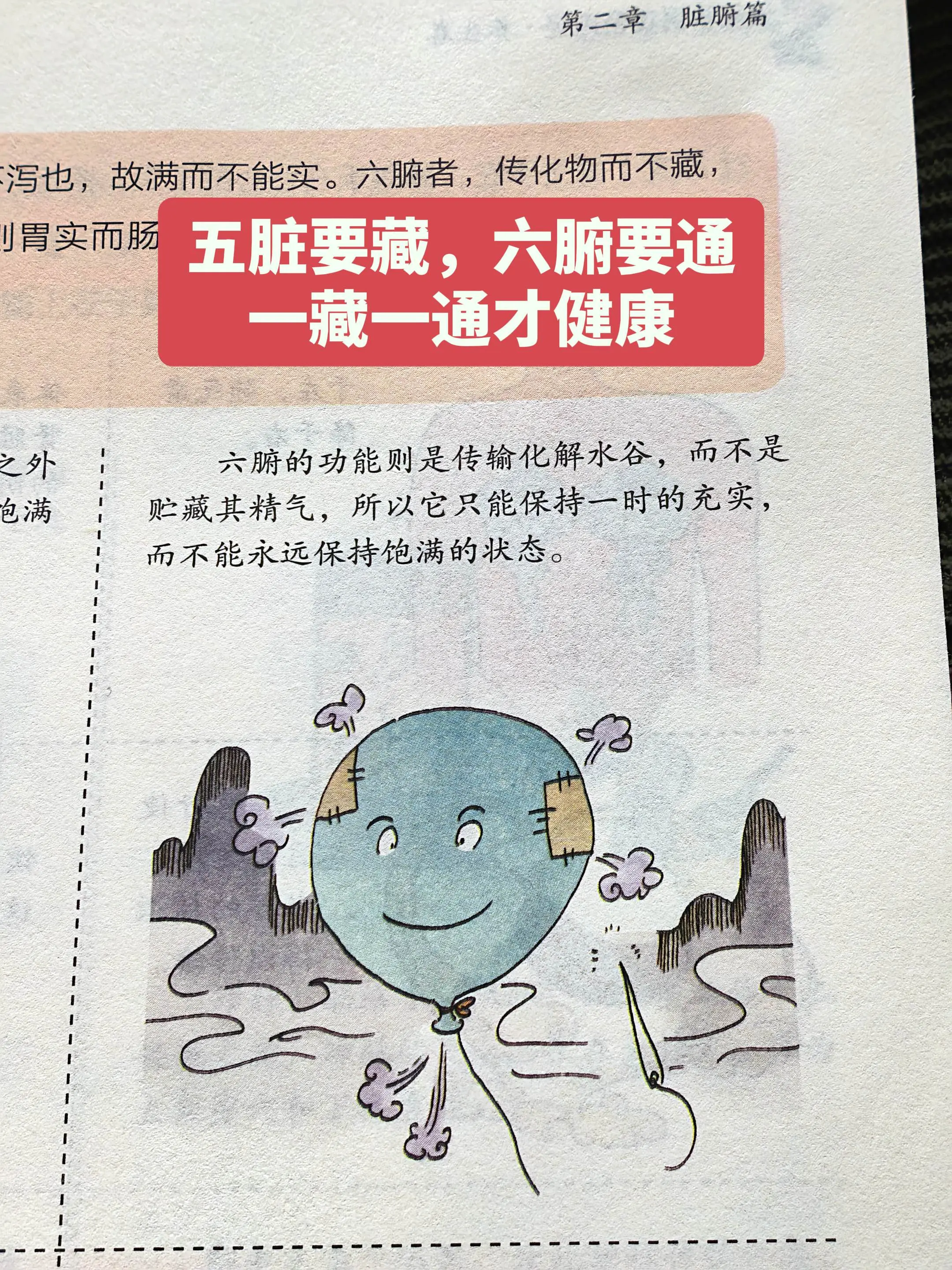 五脏六腑调养：核心是让六腑通起来。简单说说五脏六腑的区别：五脏像仓库...