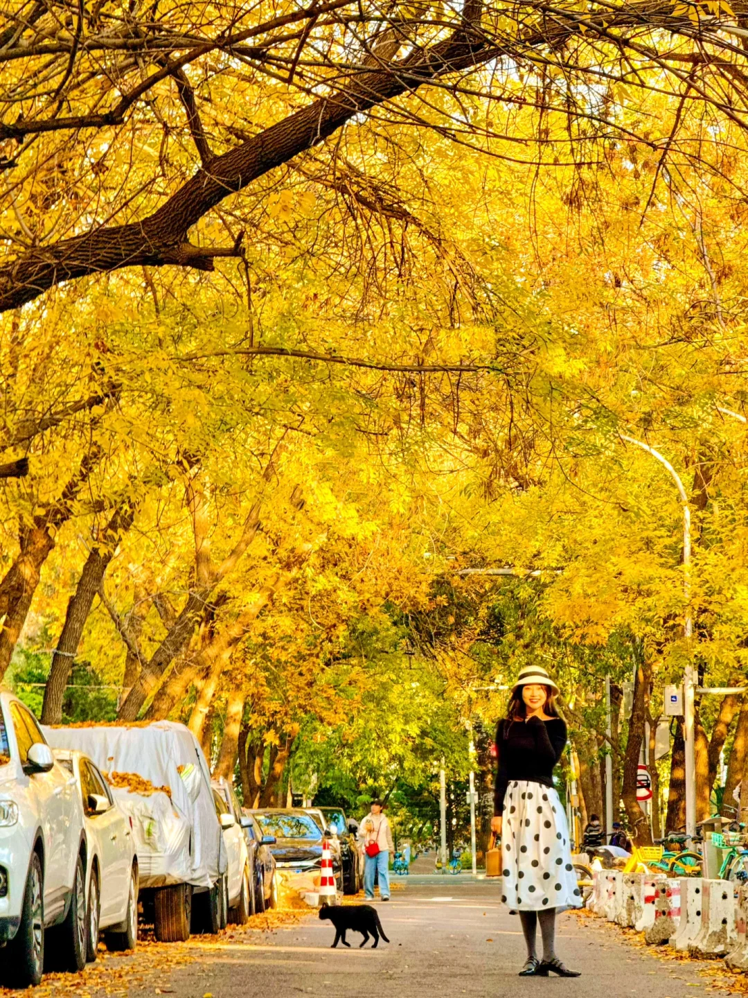 Live🍂在三里屯奔赴一场秋日浪漫！附机位🧡