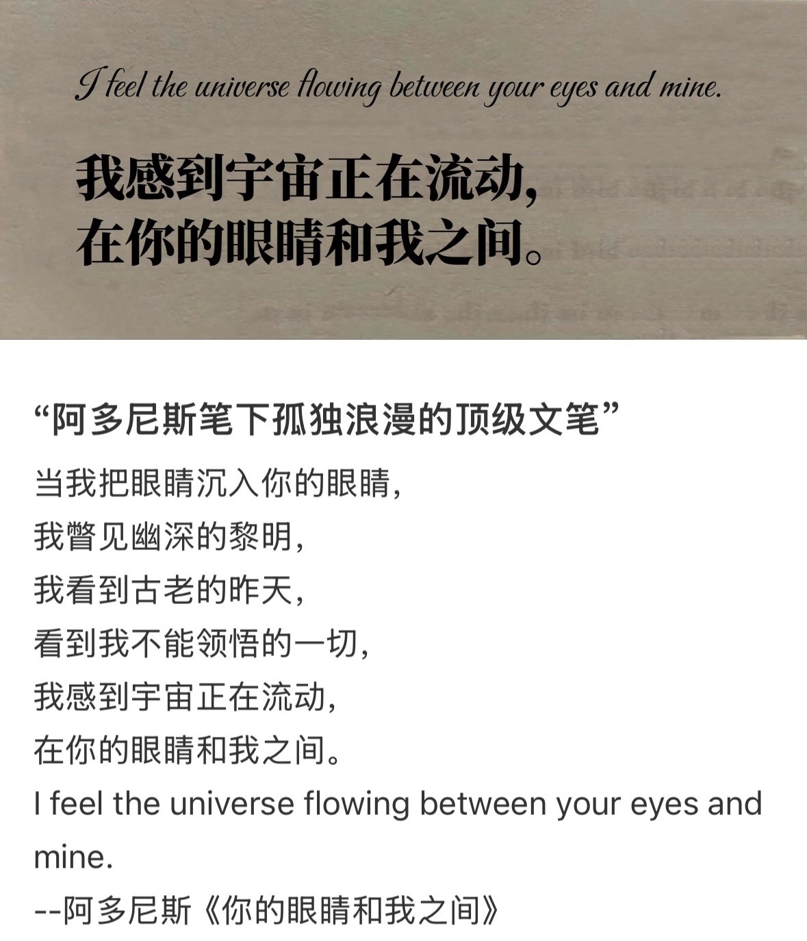 真的好浪漫。 