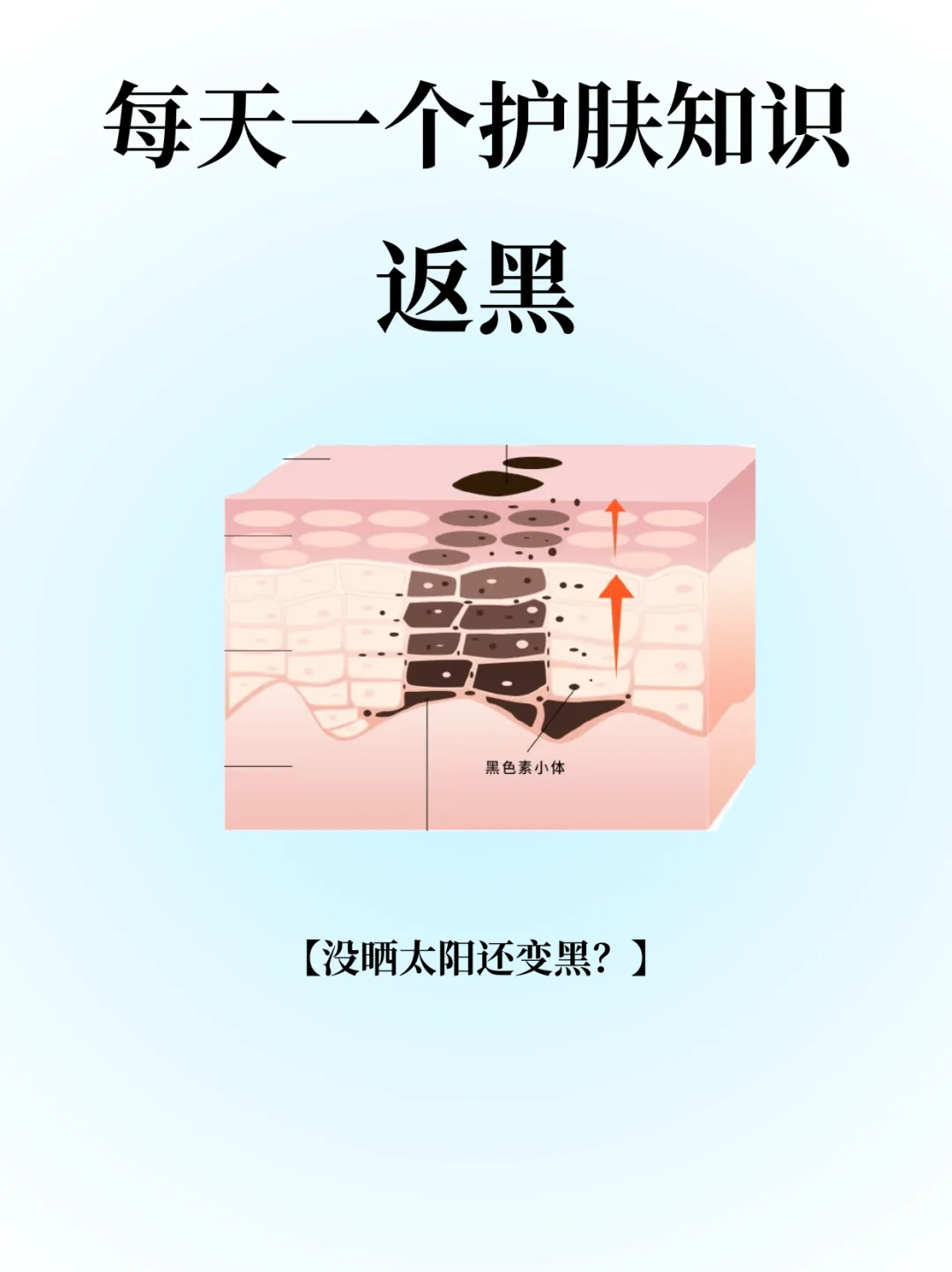 每天一个护肤知识:返黑
