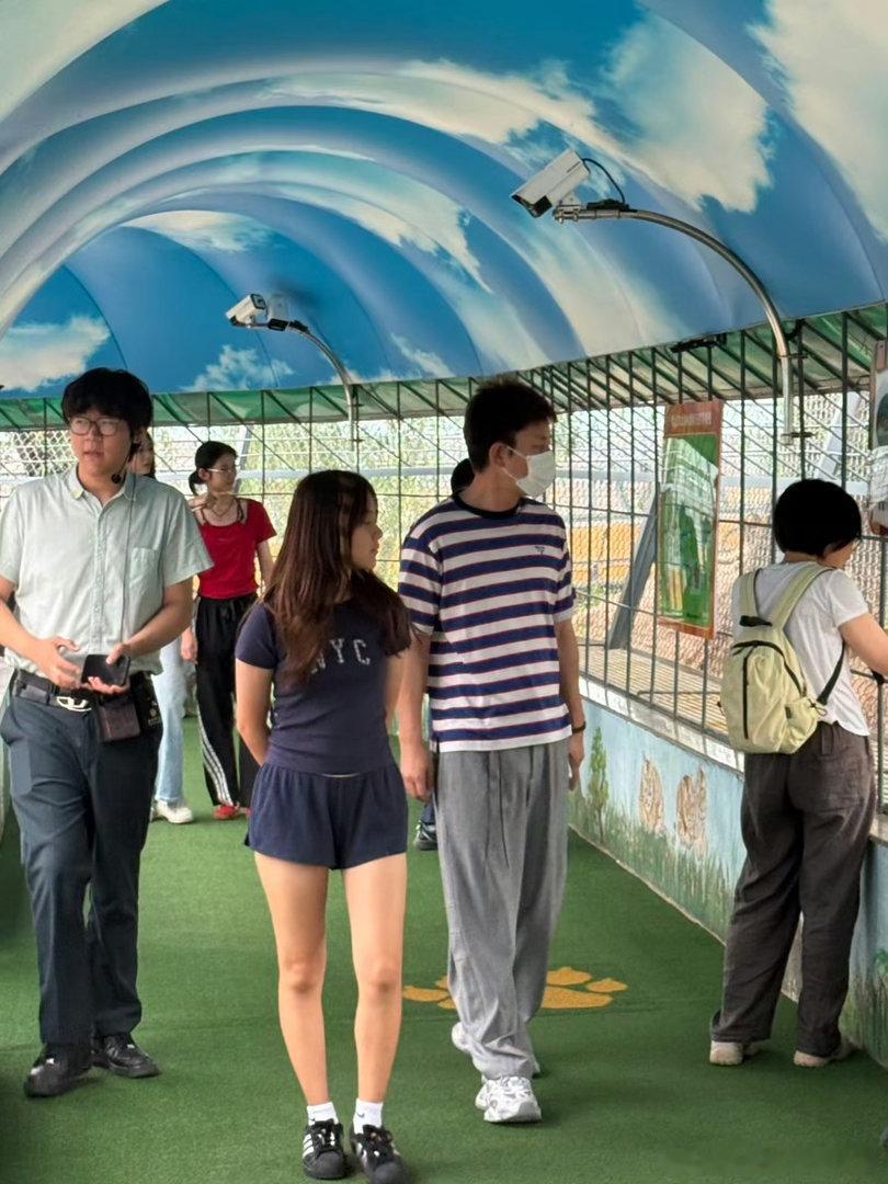 贾乃亮陪甜馨逛虎园网友偶遇贾乃亮趁着暑期，带着甜馨在哈尔滨东北虎林园游玩。褪去荧