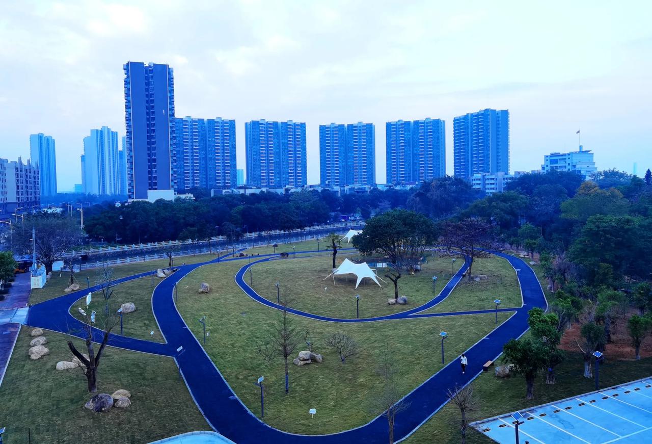 春雨 昨晚（1月21日）中山下了2025年的第一场雨，雨不大，持续时间也不长，仅