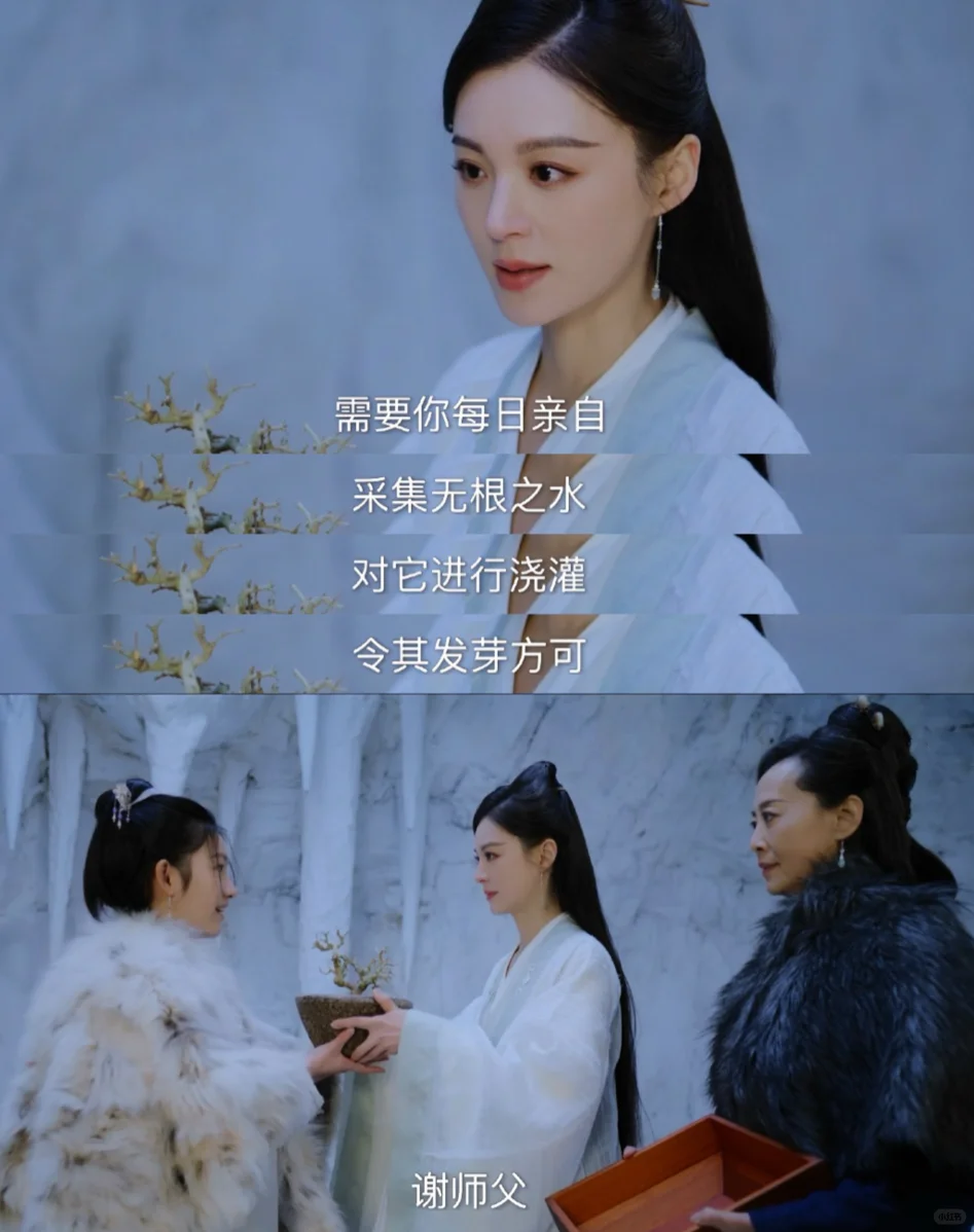 果然是师父养大的紫夜 清冷感太像了🥹