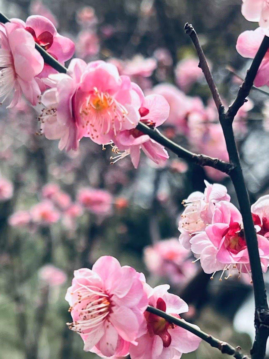 在学习的征途中，遇见更好的自己在这个日新月异的时代，我们时常会感受到一种无形的压