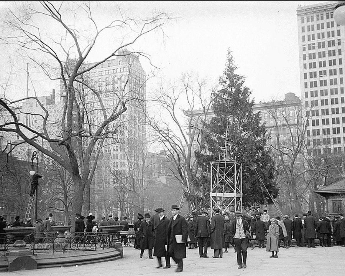 【来自投稿】1912年12月21日 纽约 布置圣诞树 