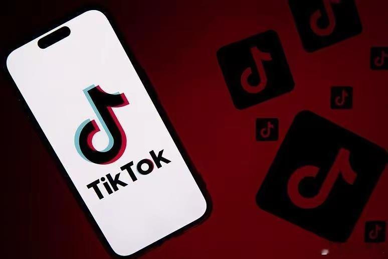 TikTok公司当地时间18日晚通知美国用户，由于美官方禁令19日起生效，Tik