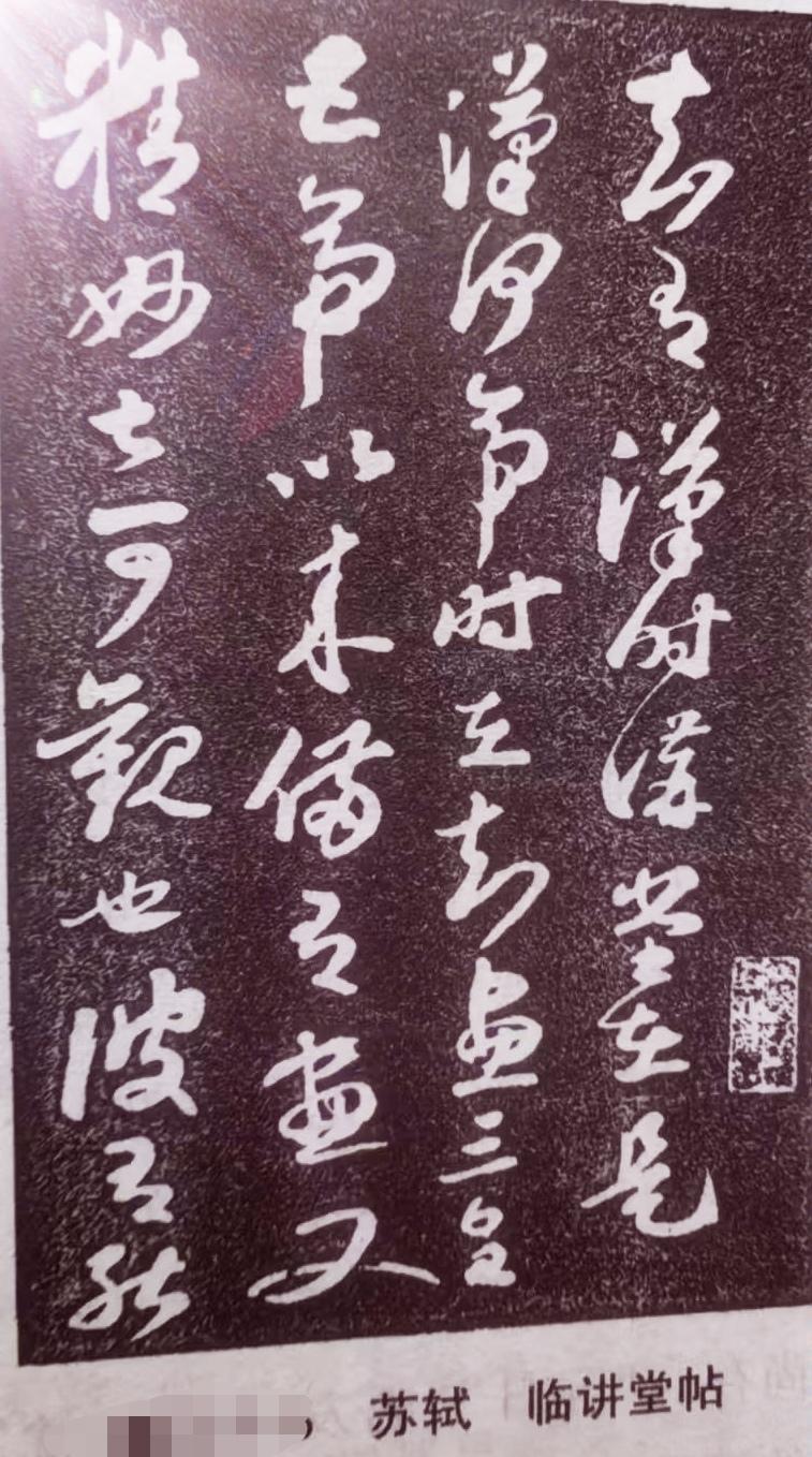 苏轼的《临讲堂帖》，那真的是把书法之美展现得淋漓尽致。
看这帖中的字，笔画粗细变