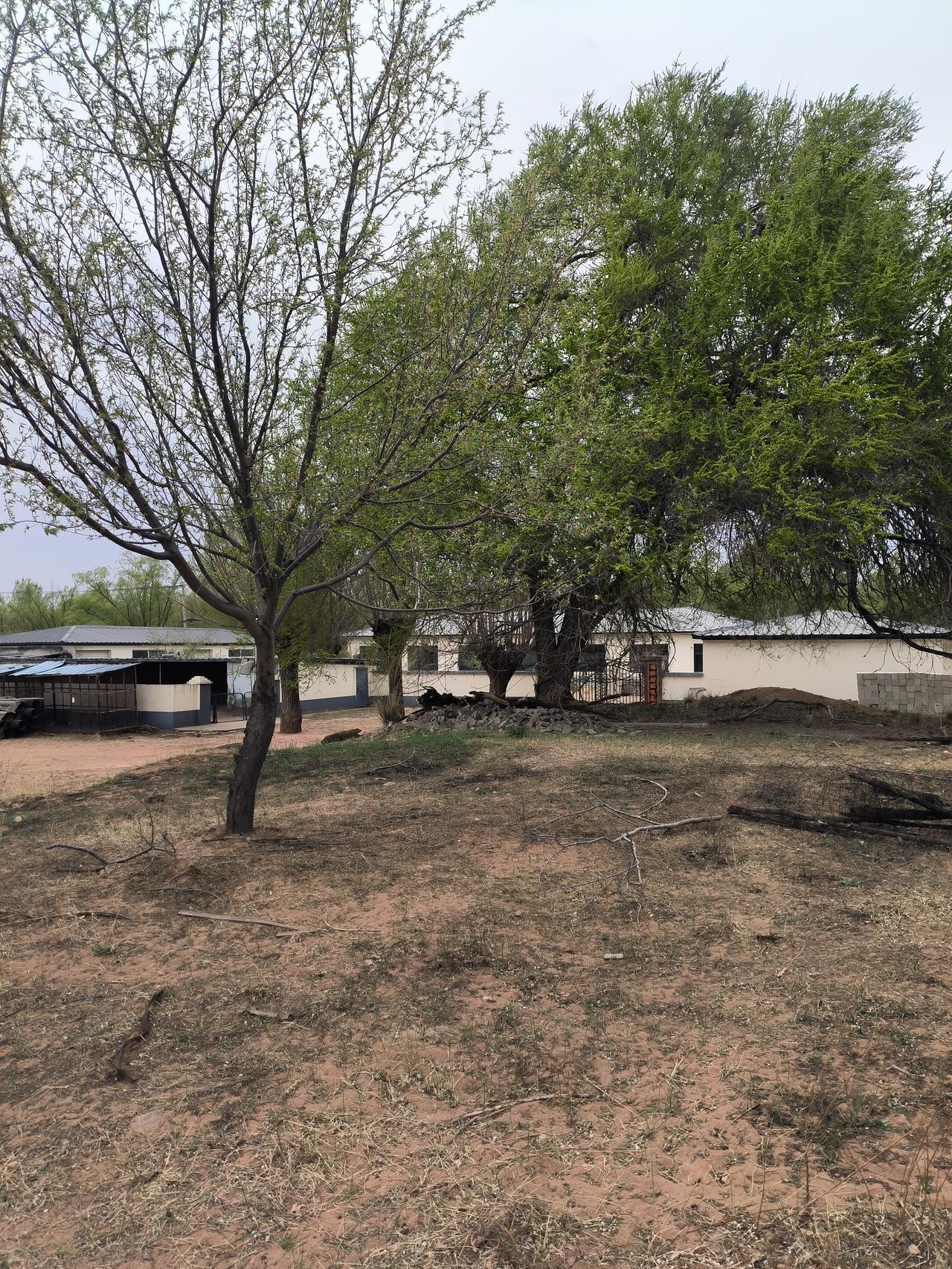 春暖花开，开始耕耘，先收拾旧房子再种地。农村的房子有没有再投入整修的价值？从年轻