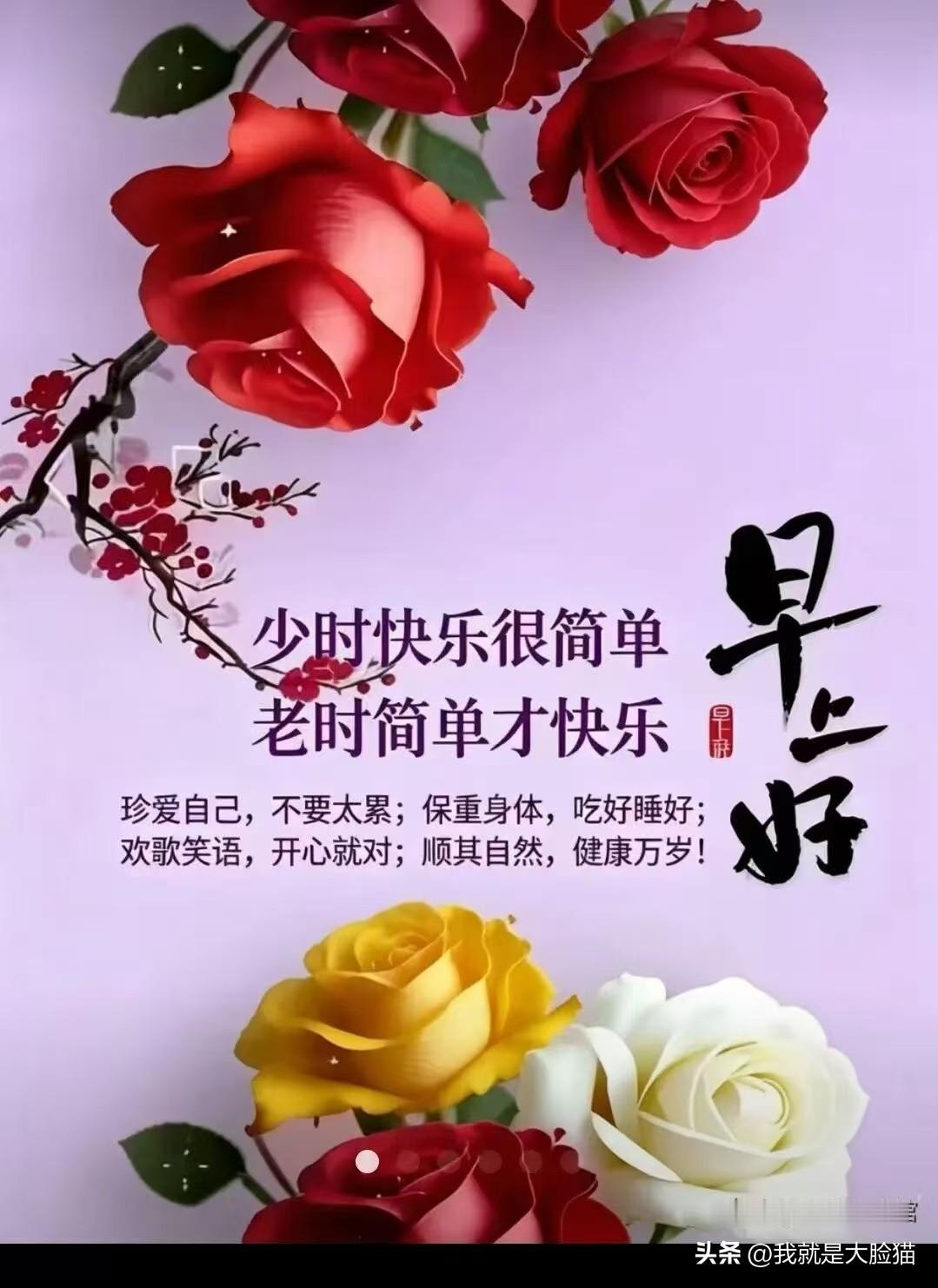 美好的清晨，快乐的一天，愿你的心情，晴空万里，愿你的微笑，阳光灿烂，愿你的人生平