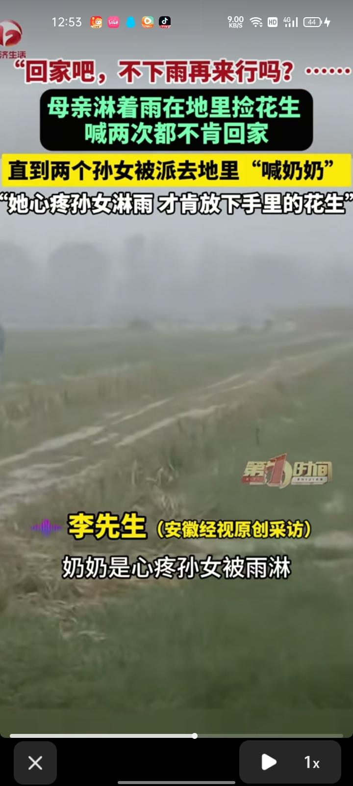 10月19日，南阳市社旗县。网友发视频称，母亲冒着雨在地里捡花生，喊她两次都不肯