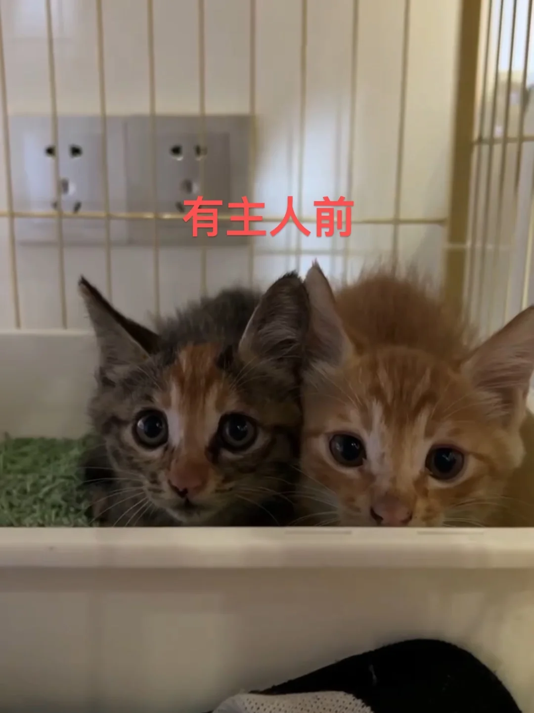 拥有爱就拥有底气