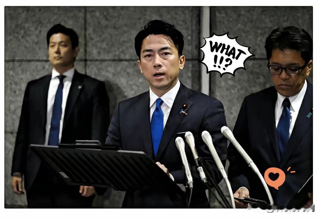 这下好了，高市还没下台，小泉倒先要下台了。他活该。明明提前收到了中国军事训练的通