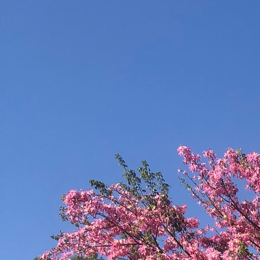 每日一善[超话]  每日一善 ☀️ 阳光信用 ☀️善良是一种修养，善待他人就是善