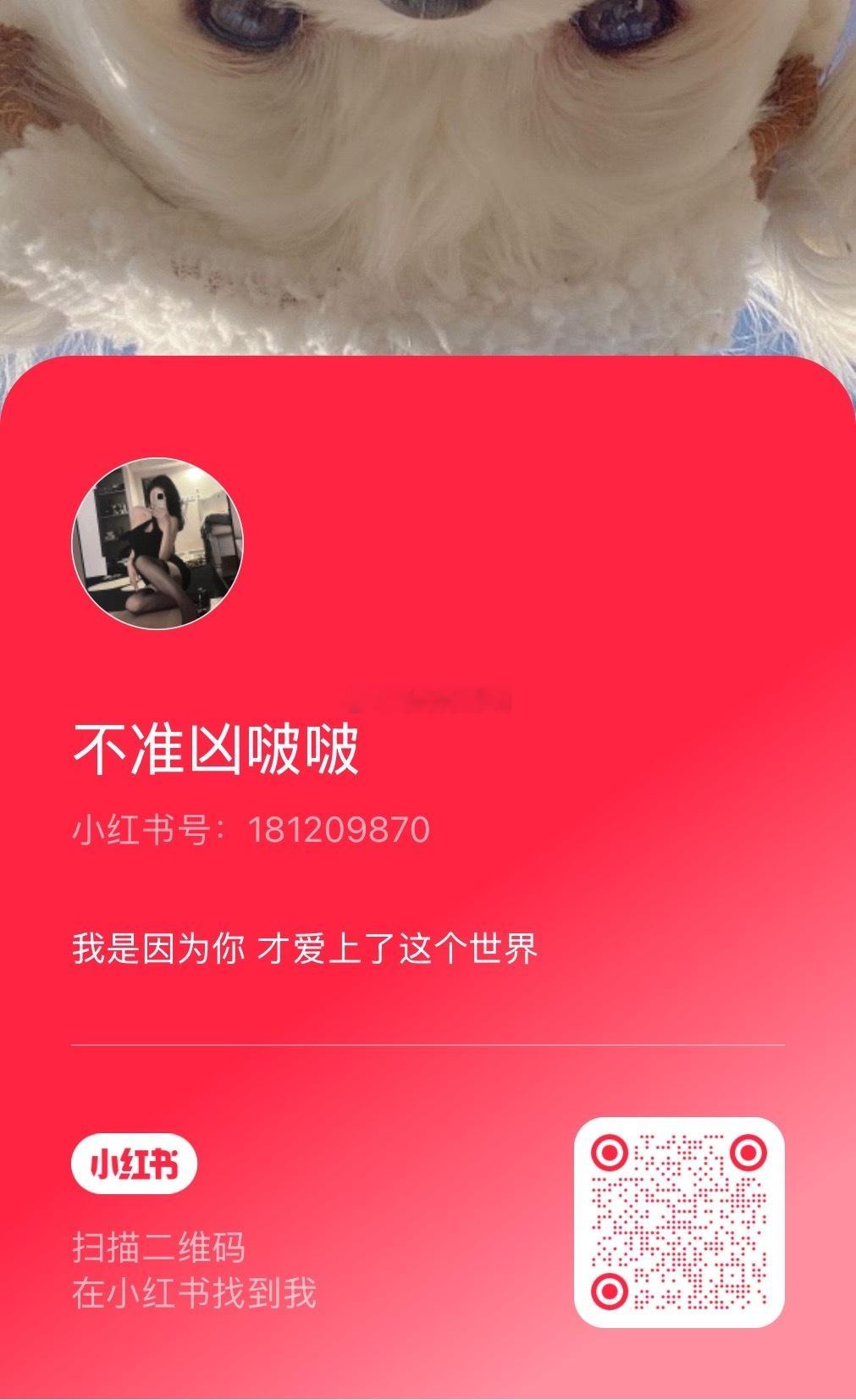 这里 