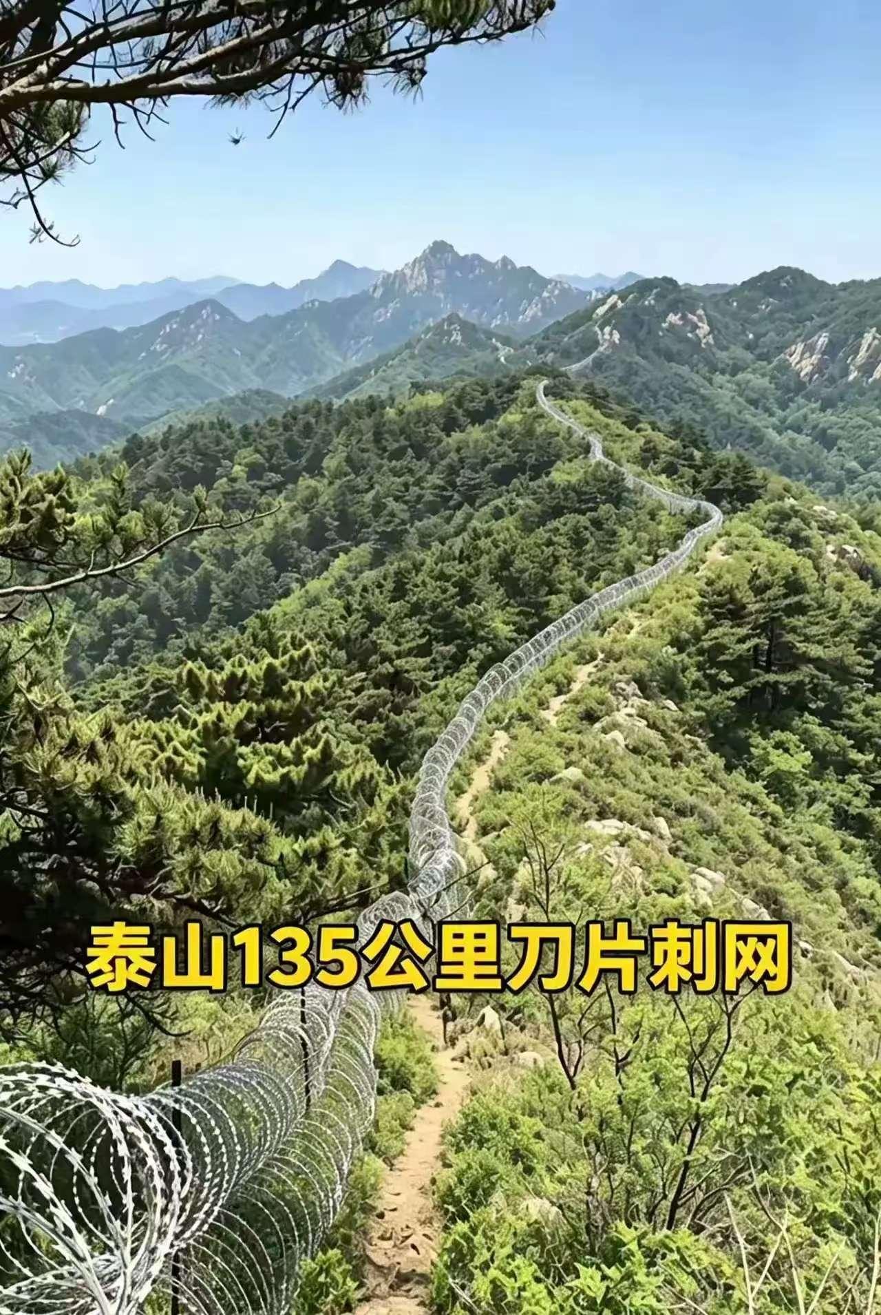 现在尴尬了！
如果撤了，2千多万元白花了！如果不撤，舆情起来了！
这种隔离网是最