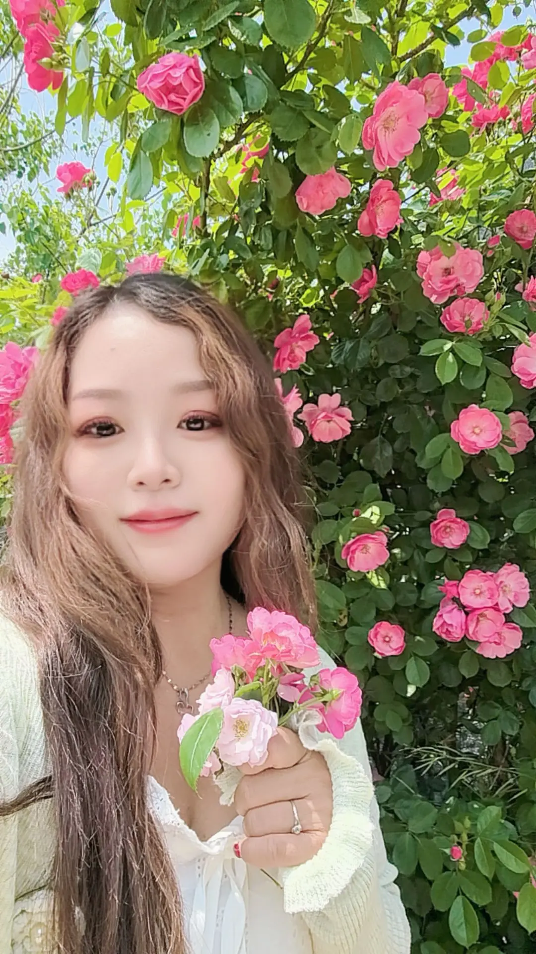 城北的花开了几个冬夏