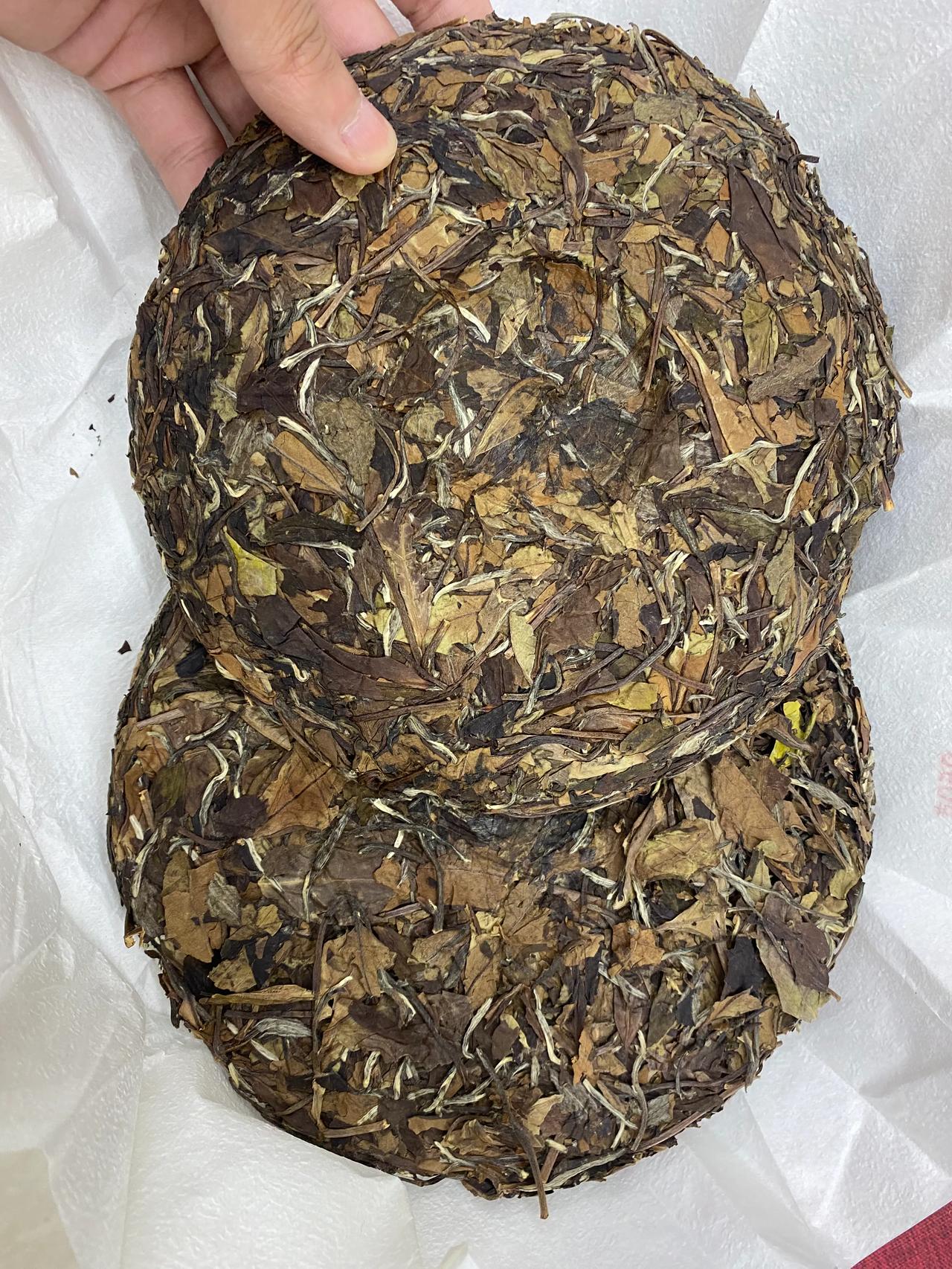 直播比赛结束了，等成绩[灵光一闪]，明天开始正常更新我的视频账号！！！
先来个图