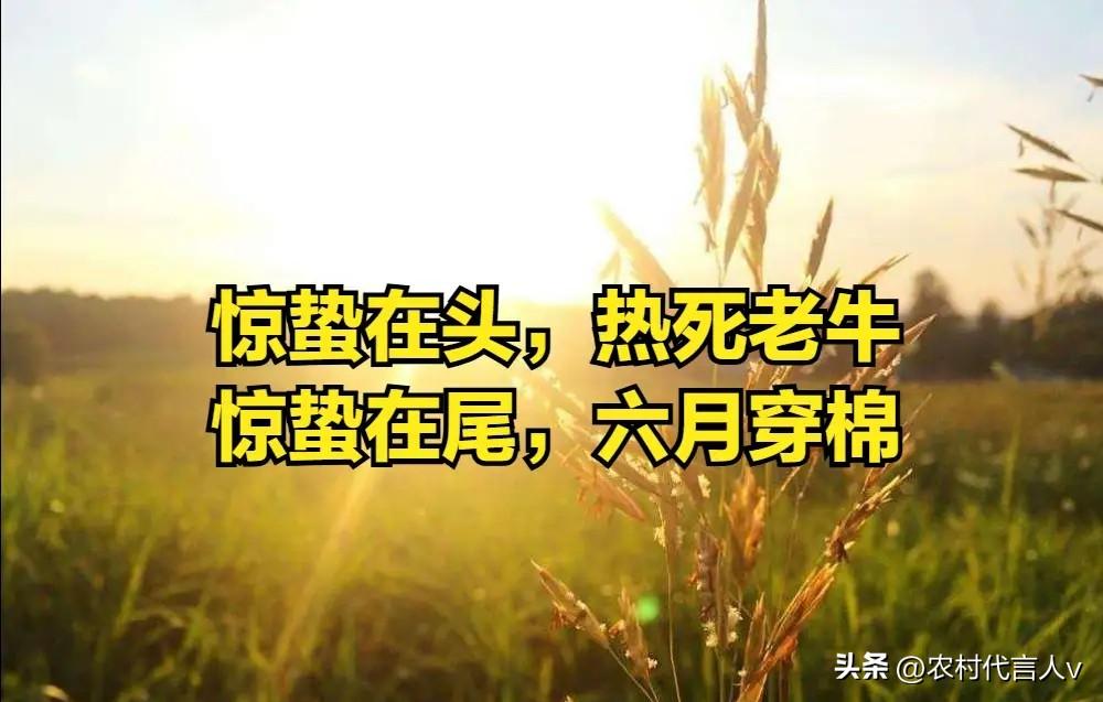 “惊蛰在头，热死老牛；惊蛰在尾，六月穿棉”，今年惊蛰在哪？
 
“春雷响，万物长