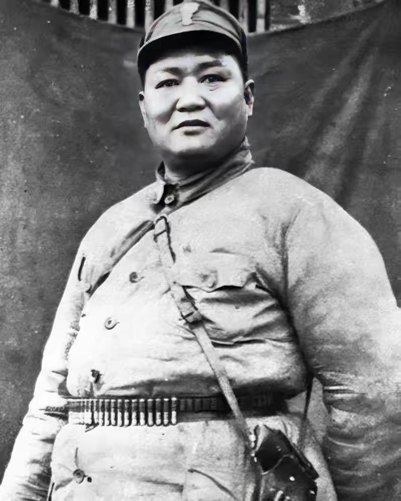 1935年，一支红军掉队50多天，归来时牵着12匹骡子驮满银元，领导一看傻了眼：