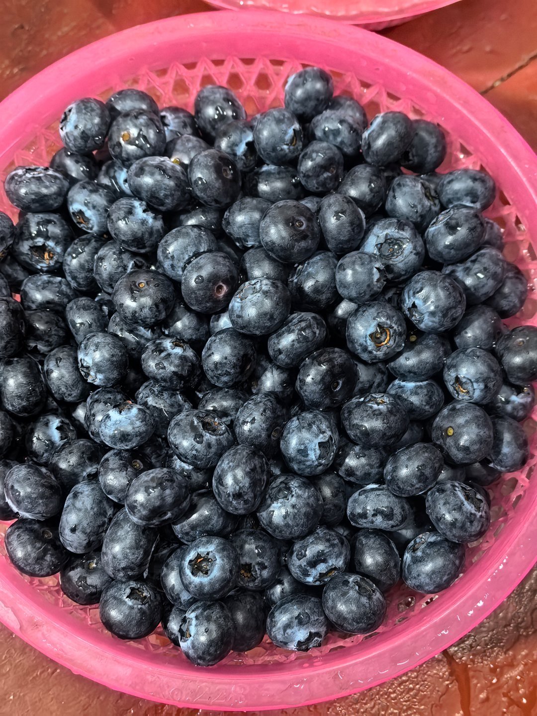 🎇❣️P6是弟弟妹妹们的涂鸦👐欧莫超好看 