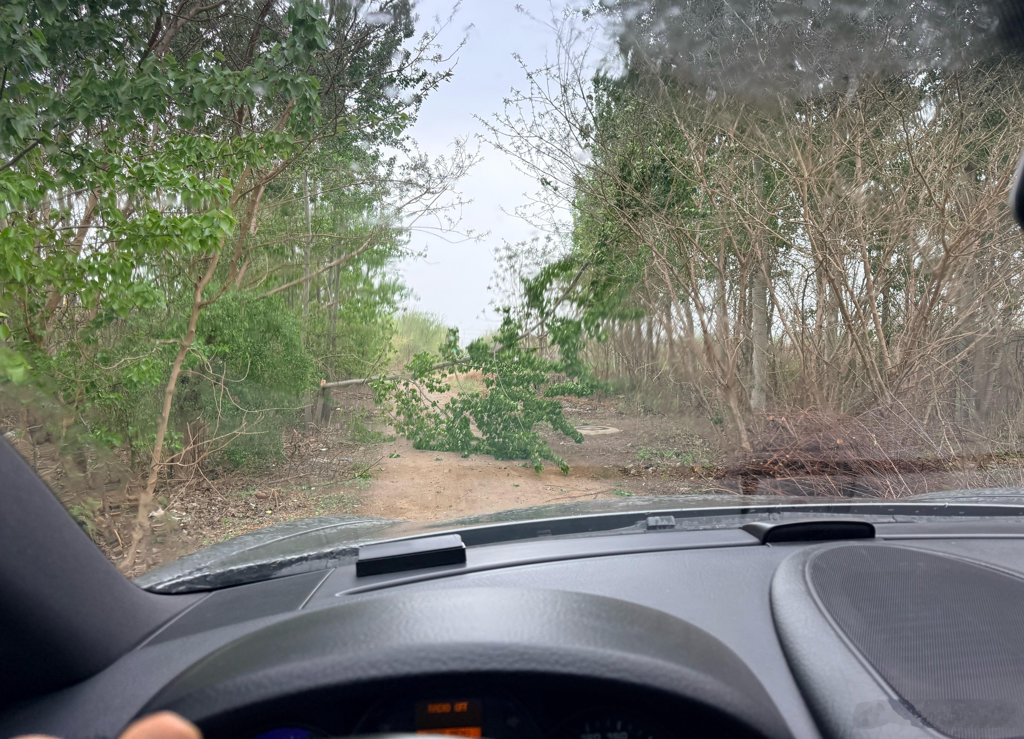 准备去潮北河溜一圈，结果全线有人看守，然后去小树林又被树挡住了，想走个烂路还有点