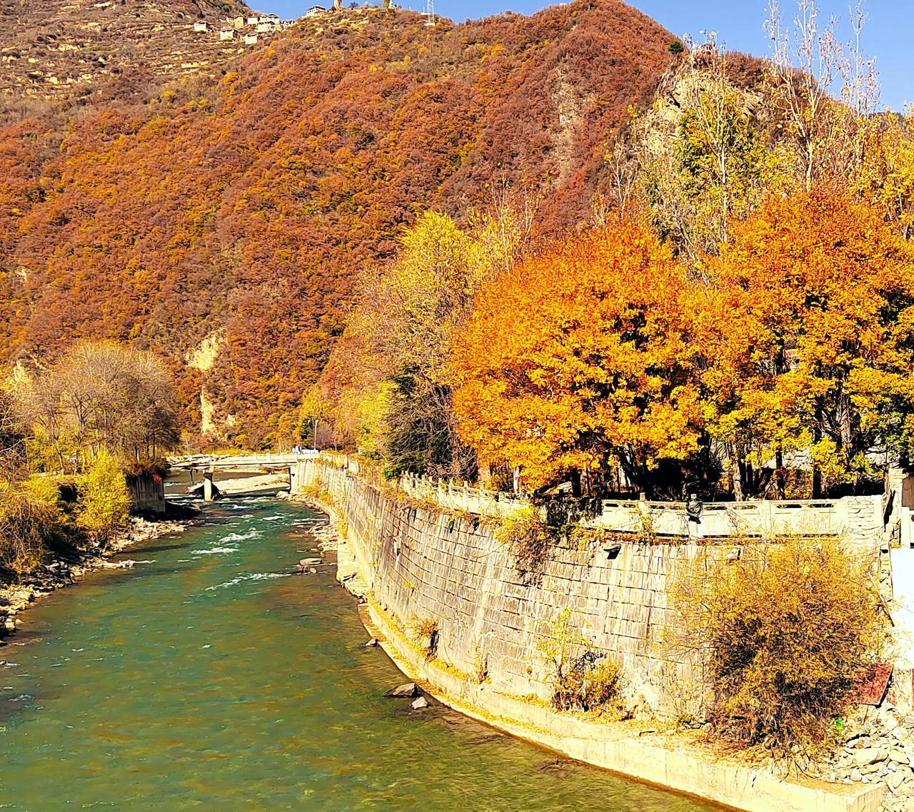 阿坝黑水奶子沟这个季节最好看八十里彩林免费停车观赏舒心

从成都自驾到阿坝黑水奶