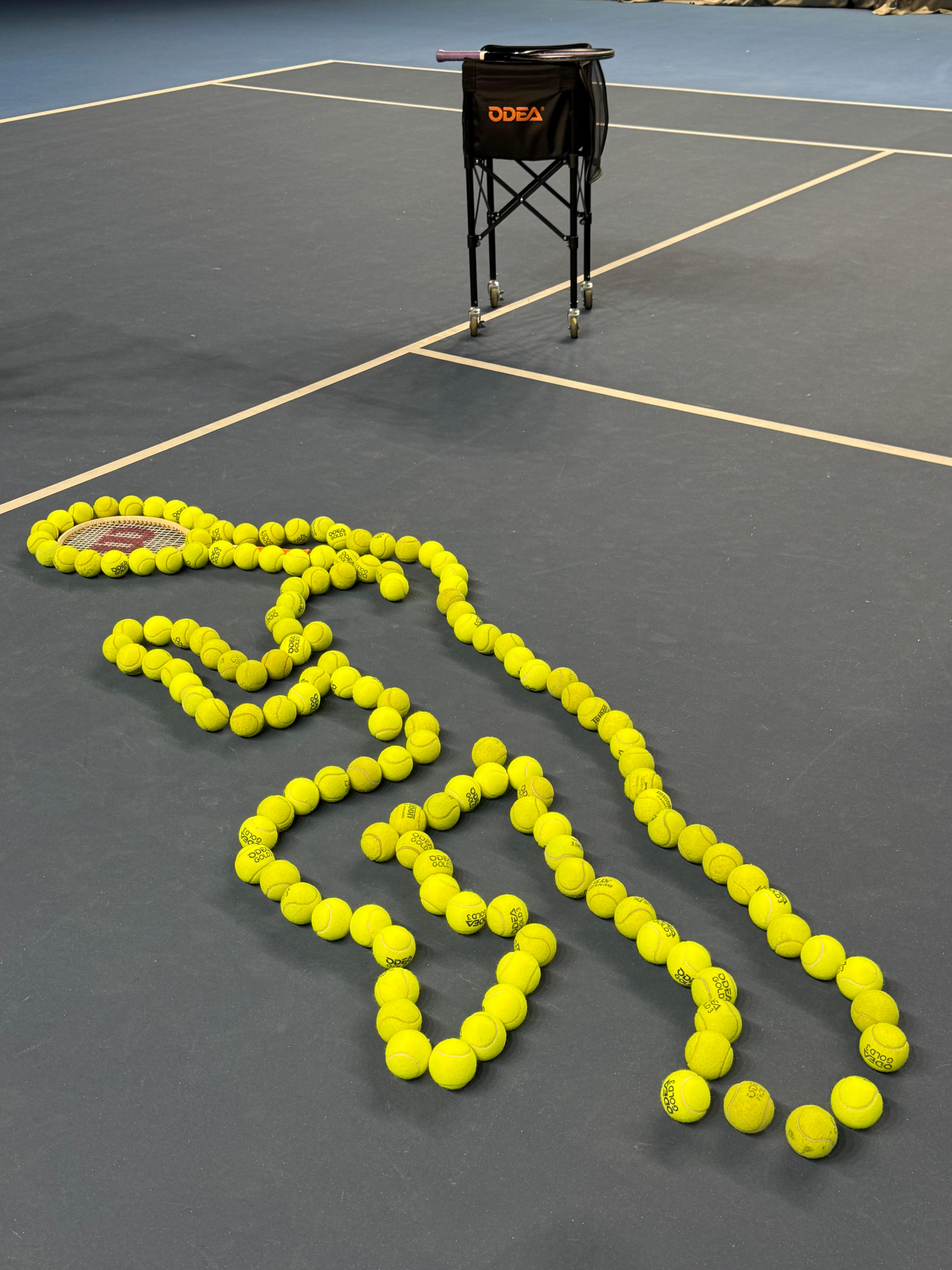 不知道，反正她的身材很曼妙哈哈哈哈哈哈