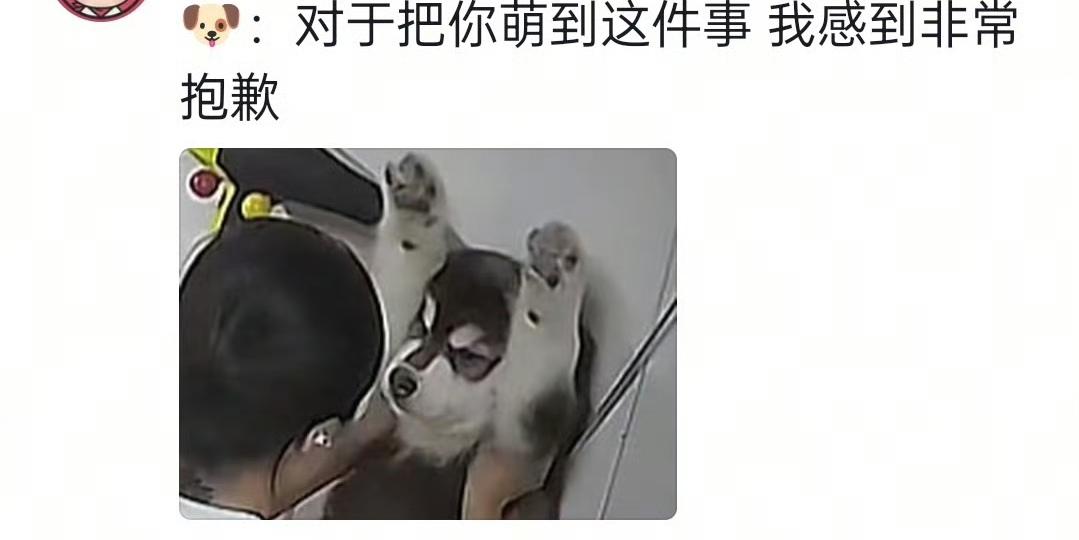 【宠物店小姐姐沉迷“吸狗”现场，网友调侃狗狗：你还好吗？】

最近在某宠物店，一