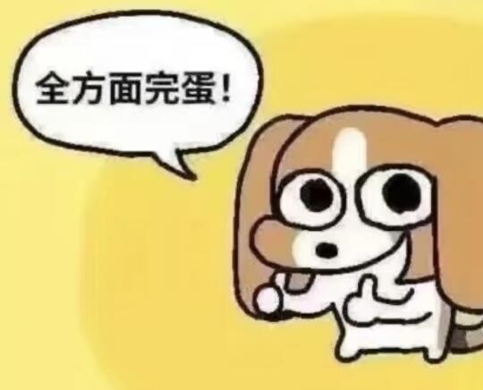 求伯克利/奥克兰/东湾短租