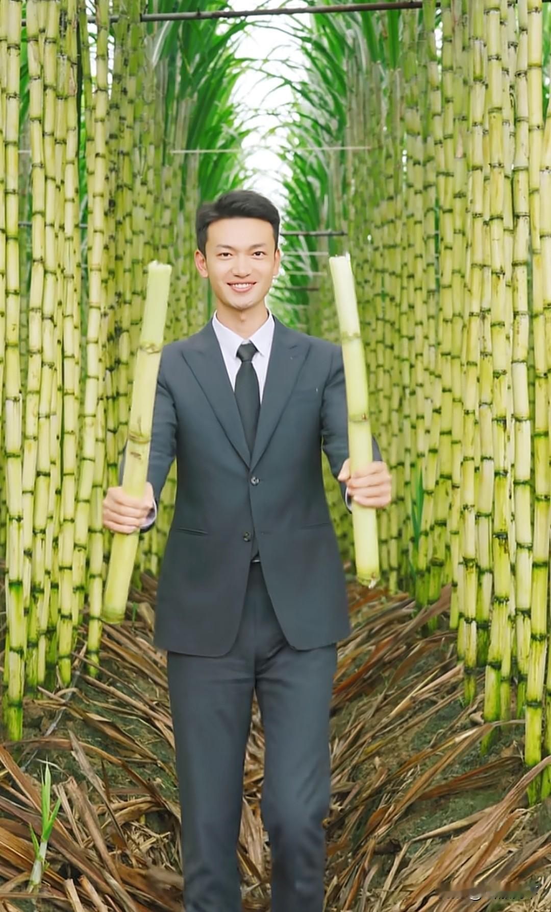 哈哈，要被一群大黄丫头笑死，无意中刷到大坤卖甘蔗的视频，评论区可比视频精彩多了，