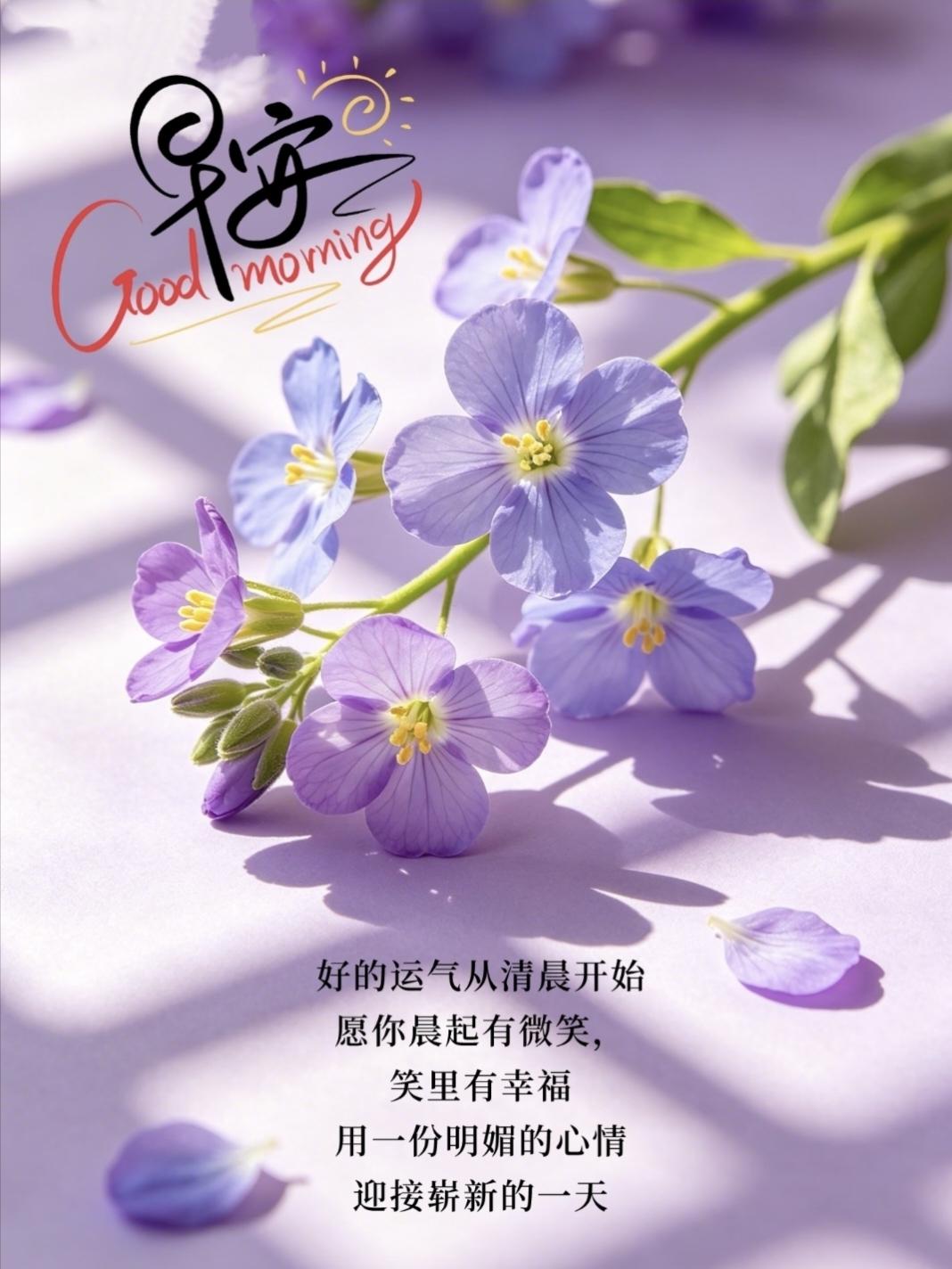 适合早上起床发的，干净正能量励志文案~
 1. 🌿别再模仿别人的活法！这辈子最