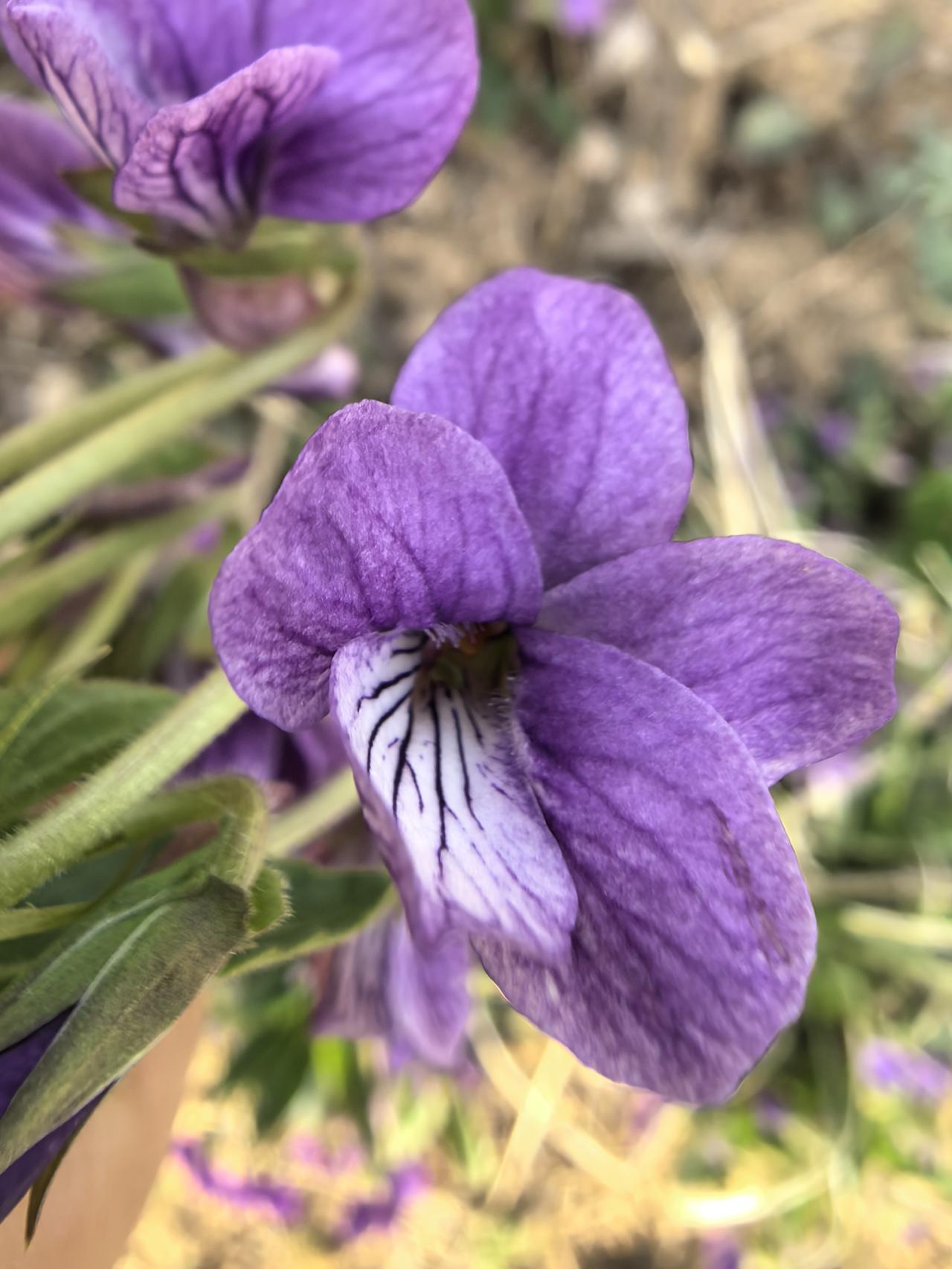 “其实很多人根本接不住真诚，你一旦对他真诚，他反而会变得贪心又傲慢。就像心理学上